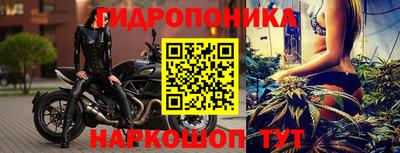 PSILOCYBIN Будённовск