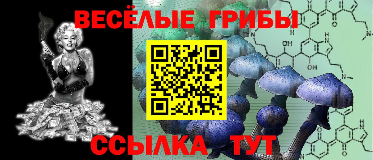 Смоленск  Псилоцибиновые грибы Psilocybine cubensis  Псилоцибиновые грибы MAGIC MUSHROOMS  Вход с VPN 
