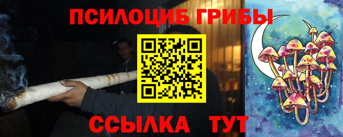 Псилоцибиновые грибы мицелий Смоленск